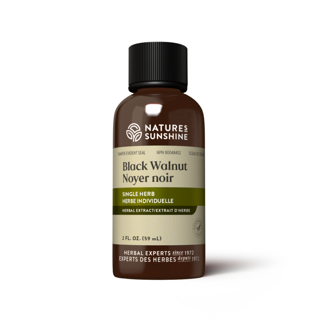 Black Walnut Extract 