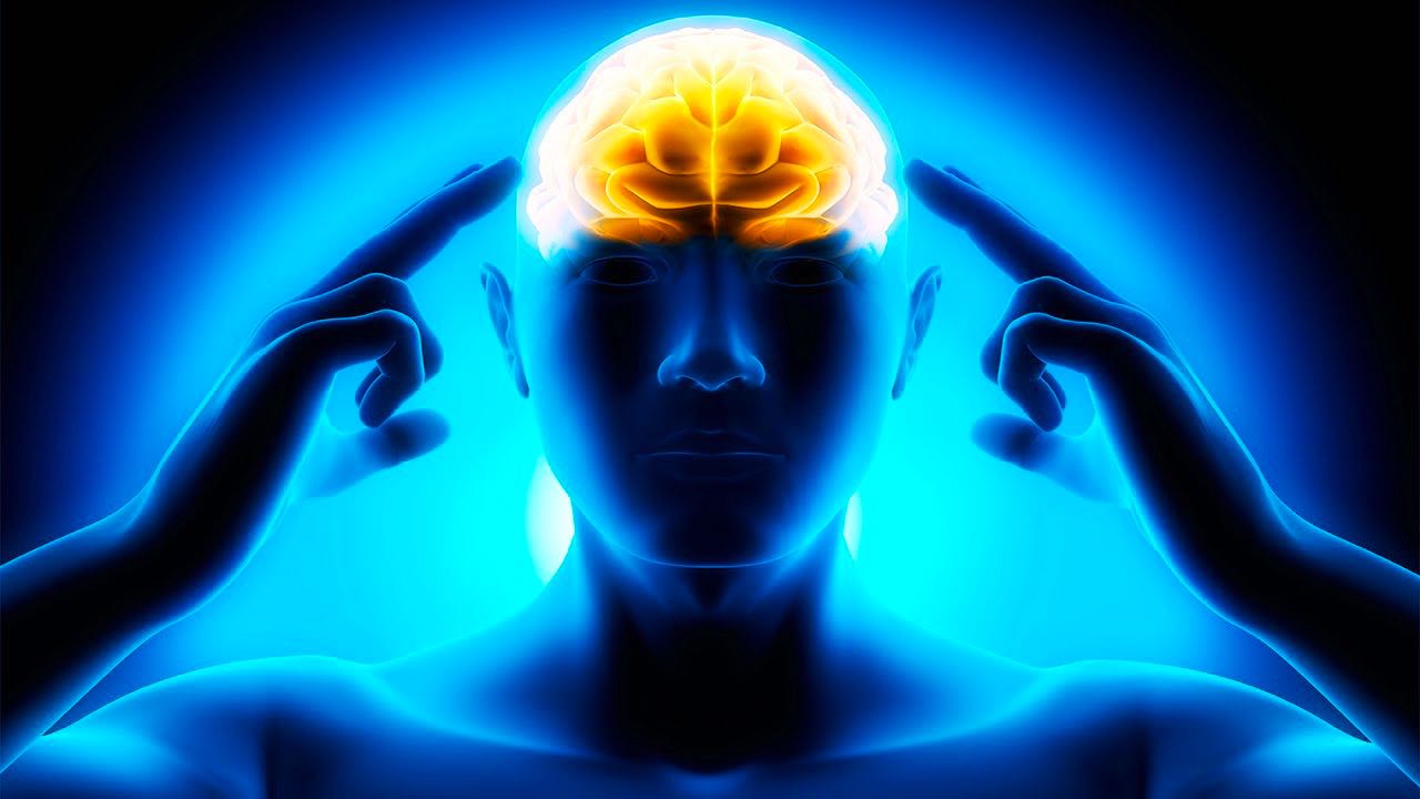 Memory and Brain