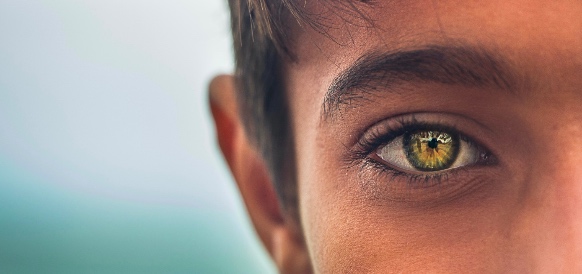 What is Iridology